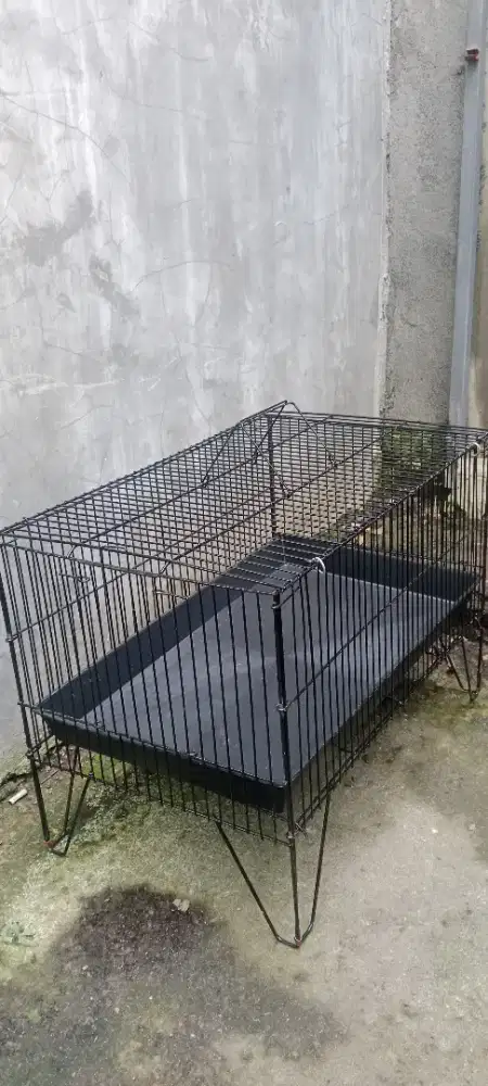 Keramba mandi burung new ram tebal