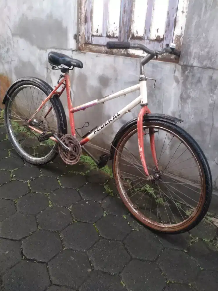 Sepeda Federal lady Sz 26