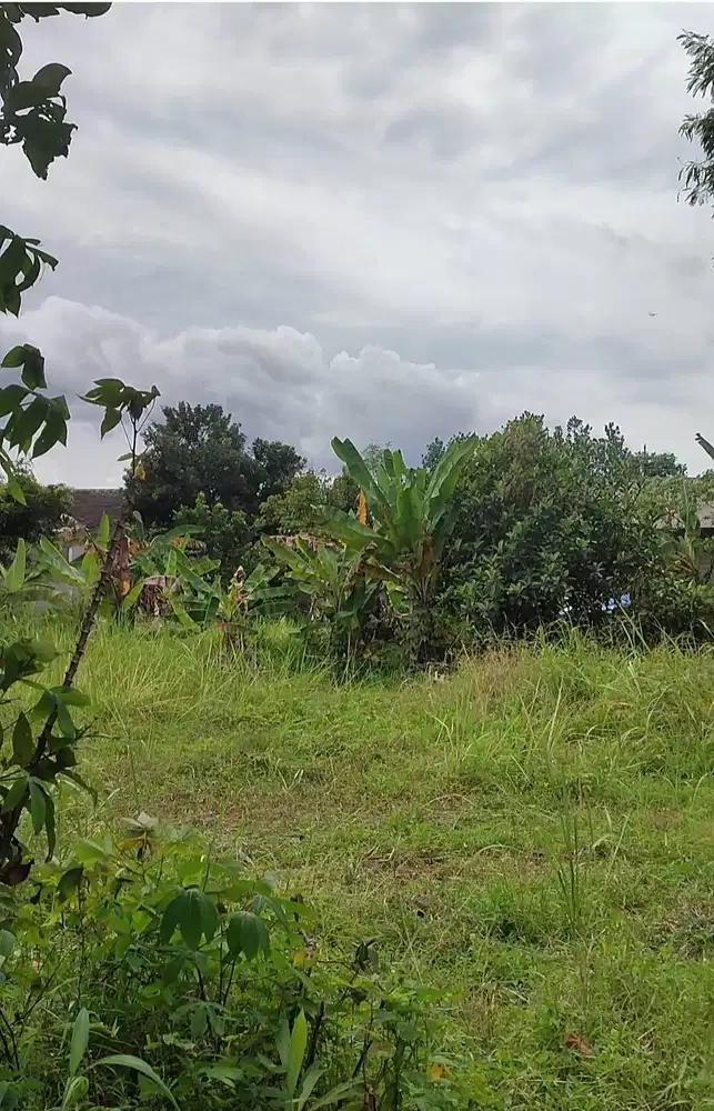 DIJUAL TANAH SHM KAMPUNG CIATER DESA RAWA KALONG