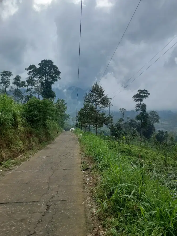 Tanah murah view bagus