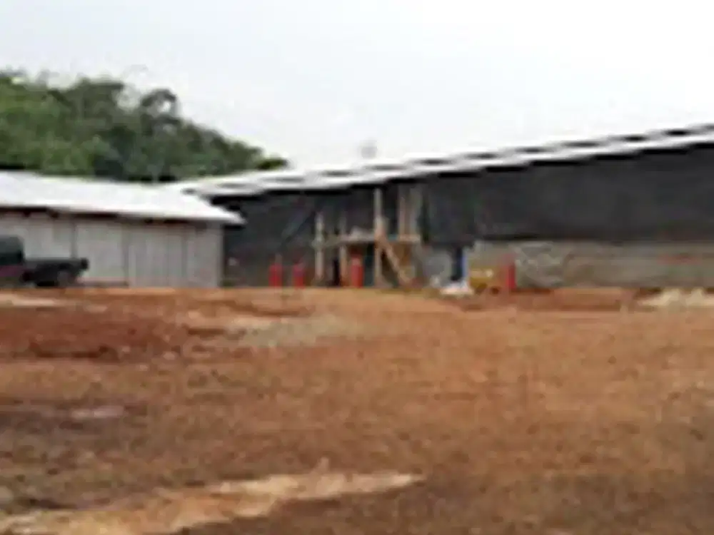 DIJUAL PERTERNAKAN AYAM