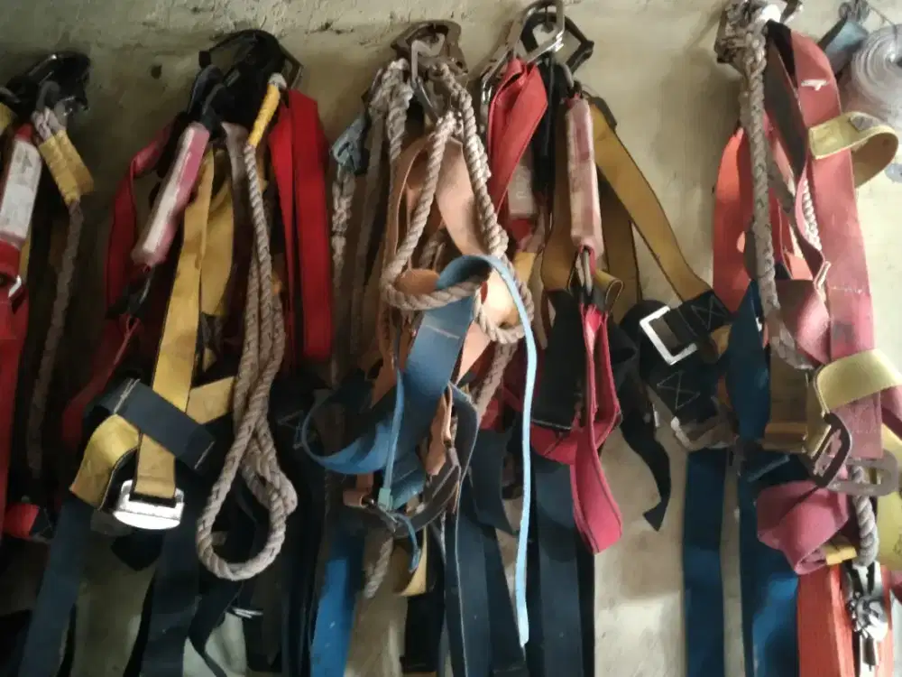 Body harness double dan single hook