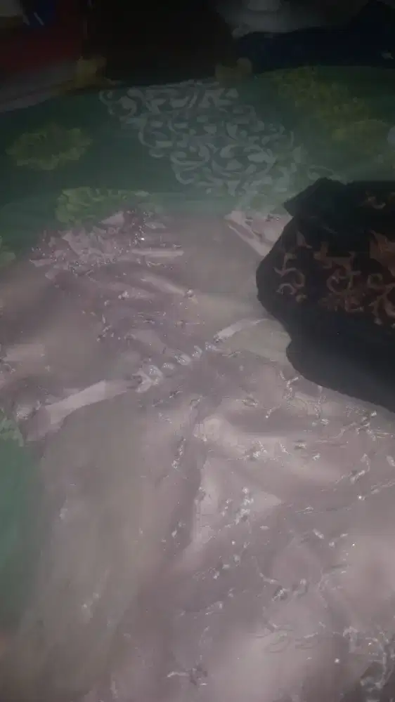 Baju kebaya + batik laki + rok dan selendang