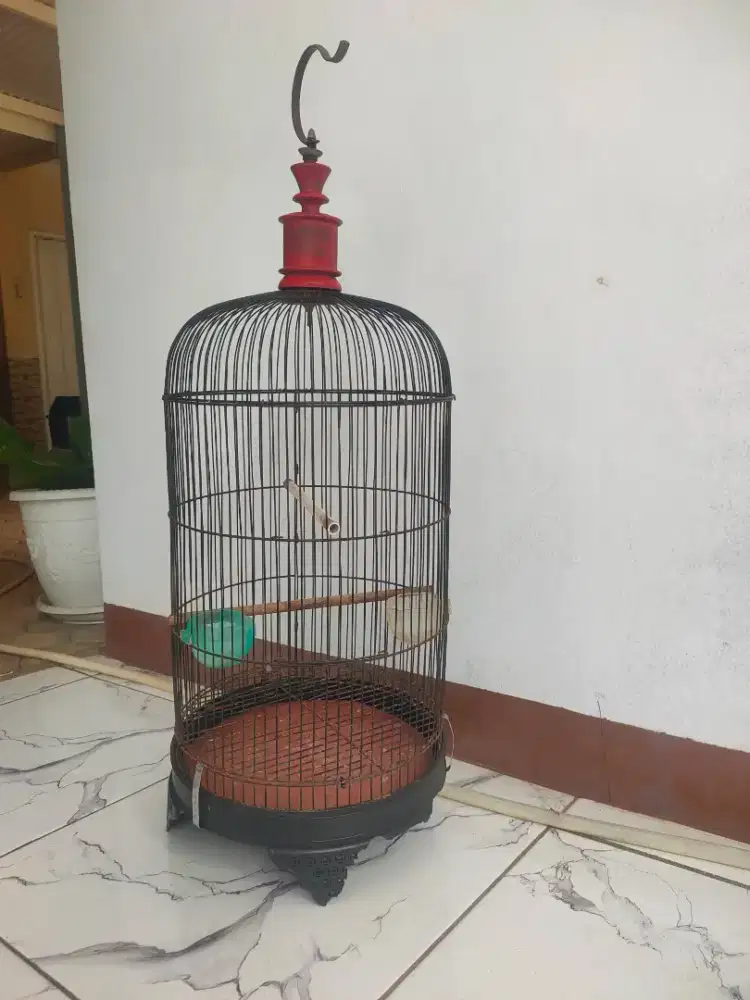 Kandang Lb murah banget