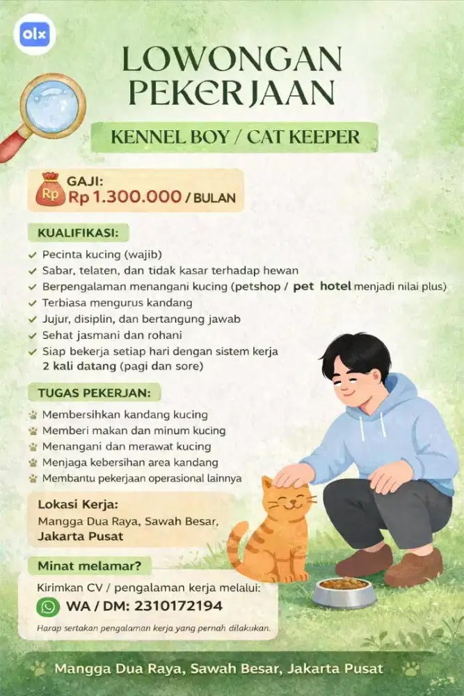 LOWONGAN CAT BOY - PENGURUS KUCING