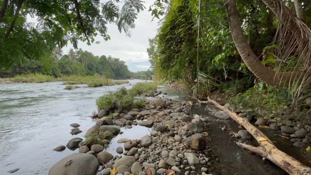 Tanah Los Sungai Dekat Pantai Surffing Balian Tabanan Bali