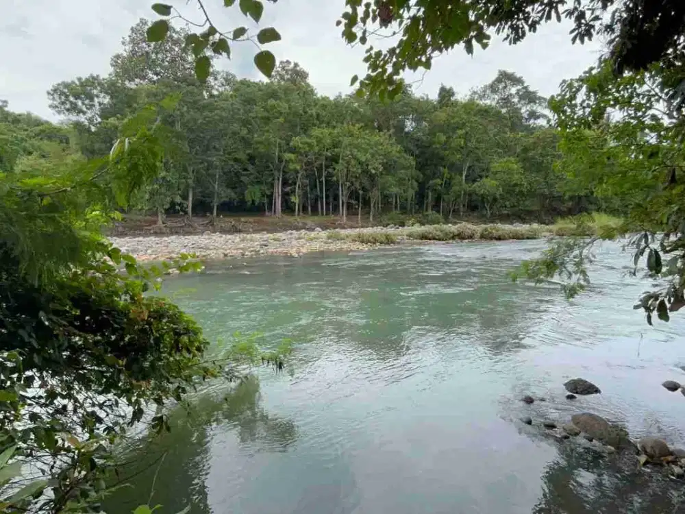 Tanah Los Sungai Balian Dekat Pantai Surfing Balian Tabanan Bali
