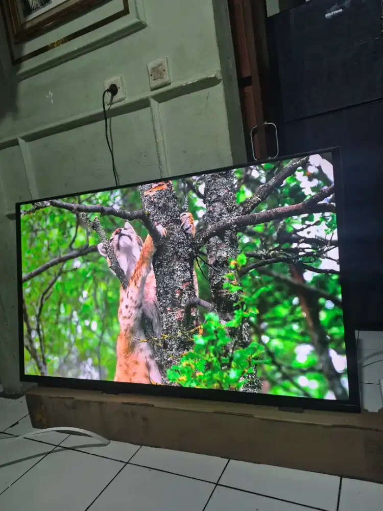 Led Tv 55 Panasonic Android Digital