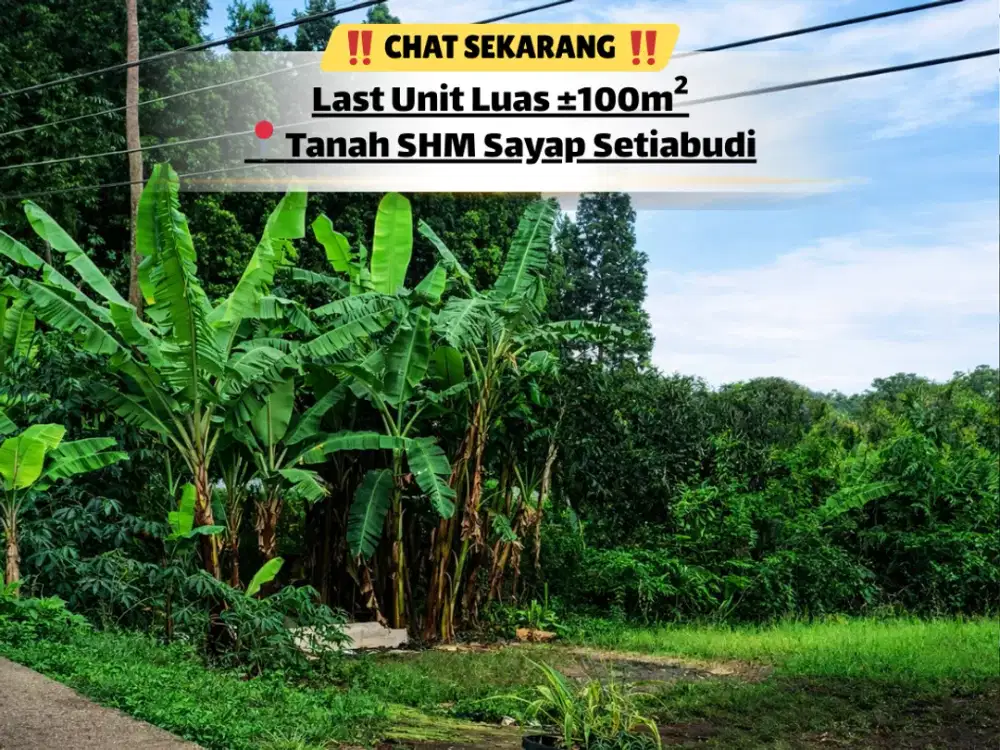 Kesempatan Langka! Tanah 100m² Area Setiabudi