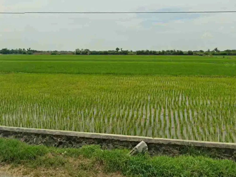 Dijual Tanah Daerah Industri Kendal