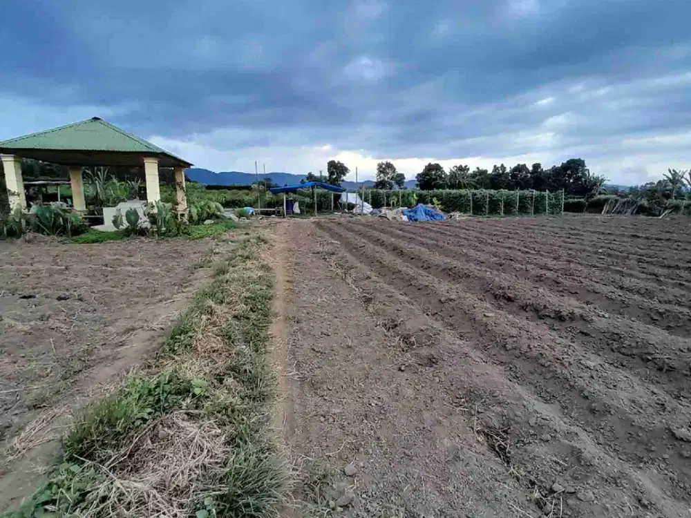 Dijual lahan pinggir jalan Berastagi Kec dolat rakyat