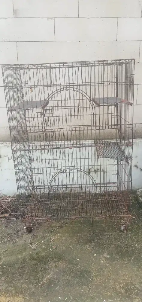 Kandang Anjing Jumbo