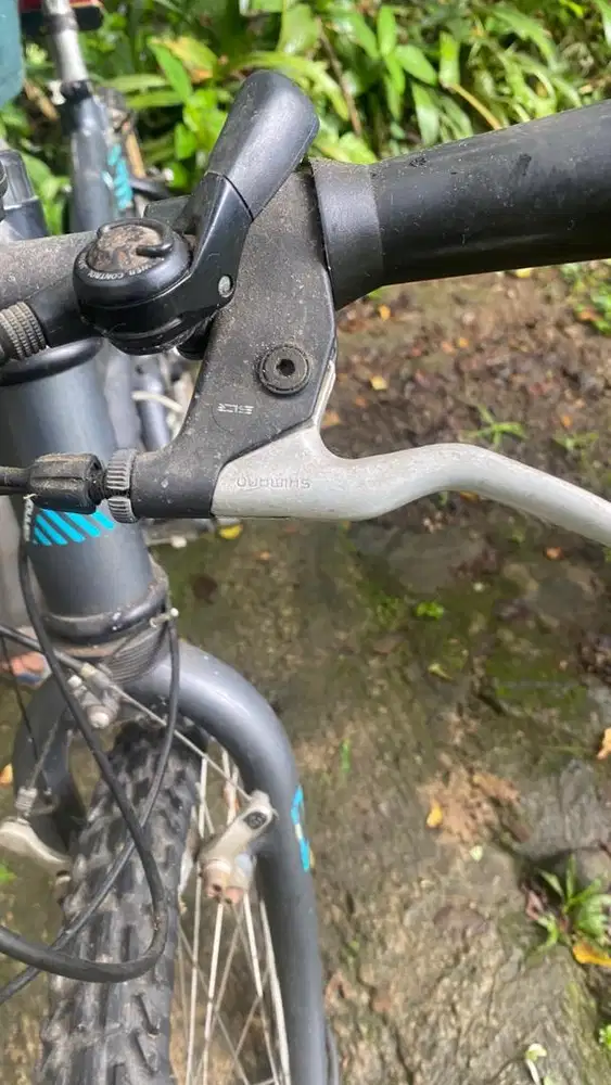 Lebih dari 5 tahun g di pake