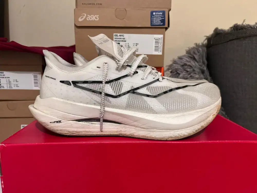 Mills Enercharge (45)