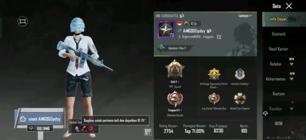 JUAL BELI AKUN PUBG MOBILEE