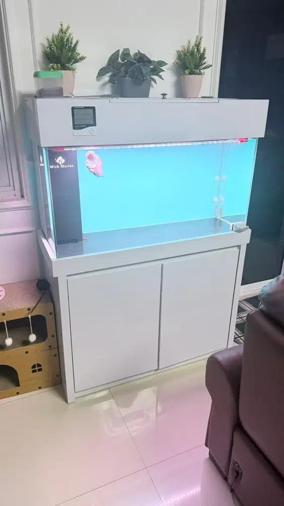 Aquarium 100x50x50 full set kondisi bagus