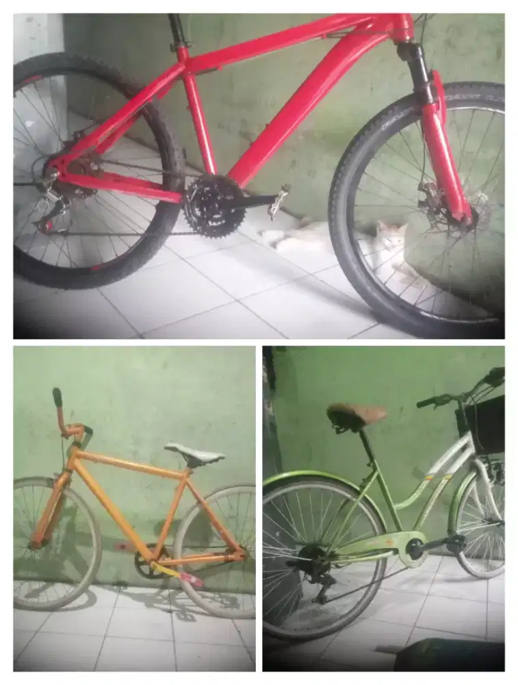 Sepeda gunung Evergreen UK 26 borongan