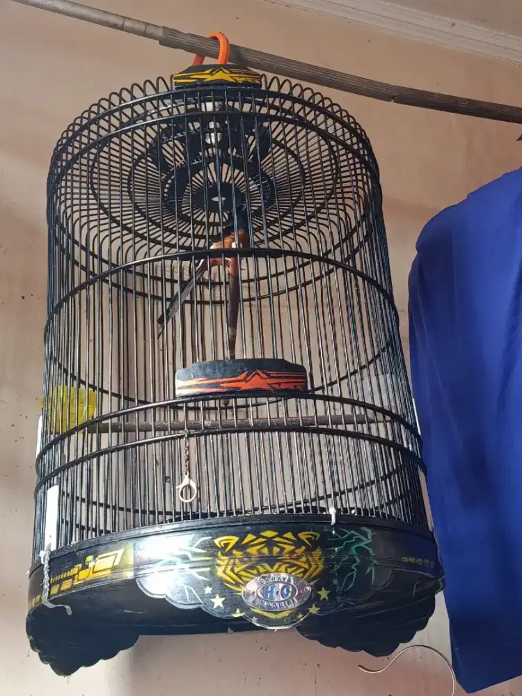 Kandang Murai No. 3 Air Brush