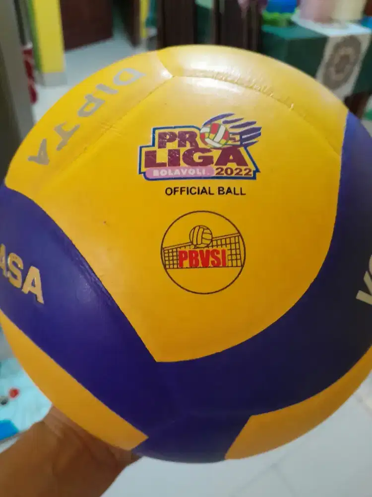 Bola volley mulus
