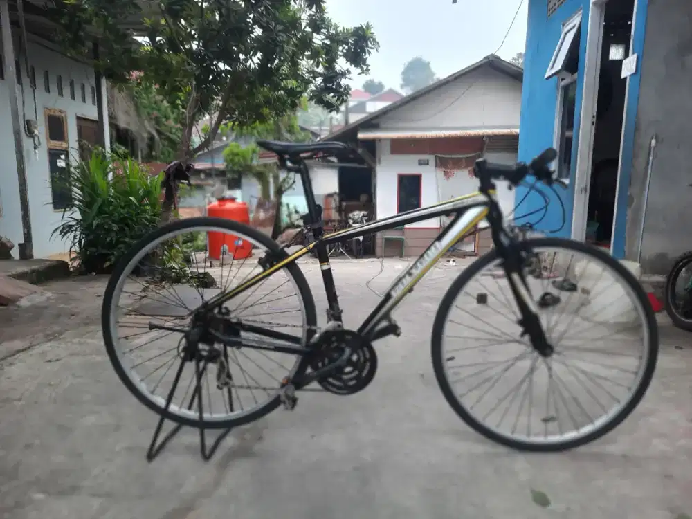 Sepeda polygon hybrid hesit 1.0
