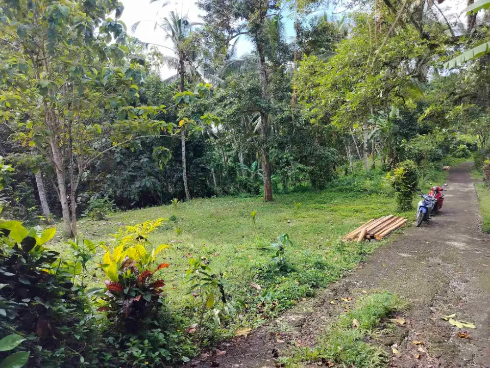 jual tanah murah di tabanan.21 are hrga 30/ are