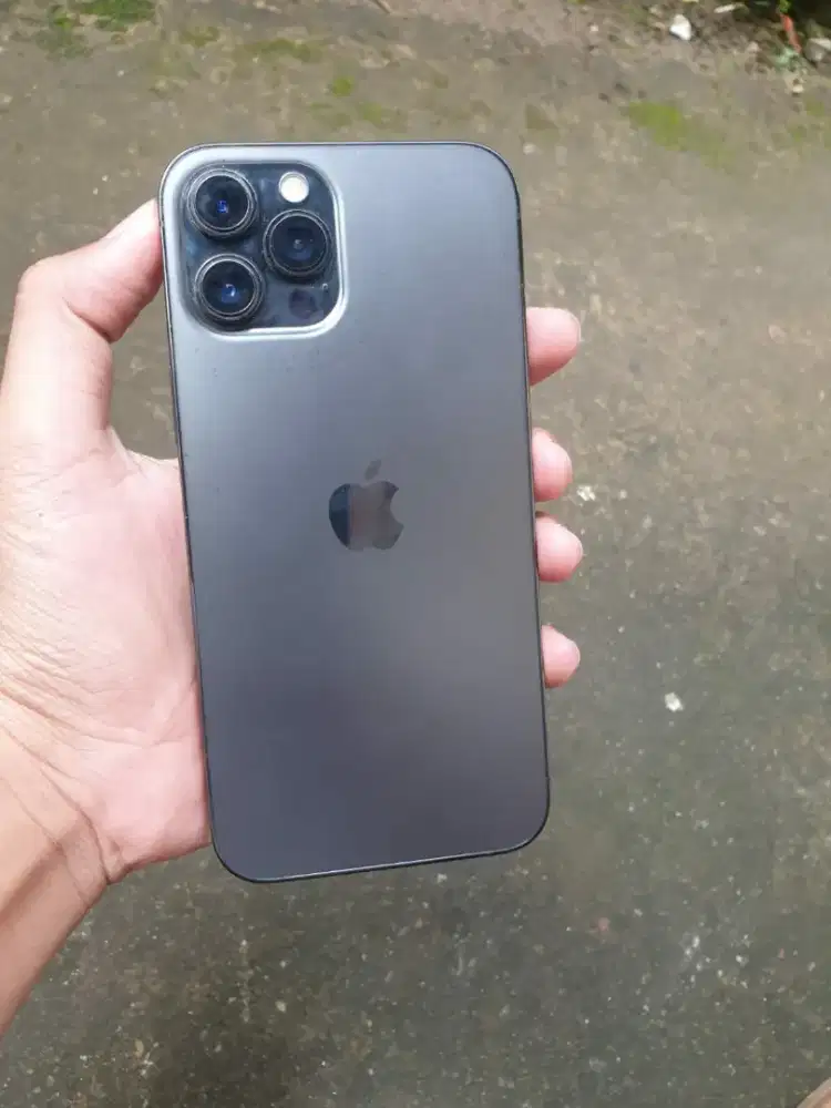 IPhone 12PM 256GB all op