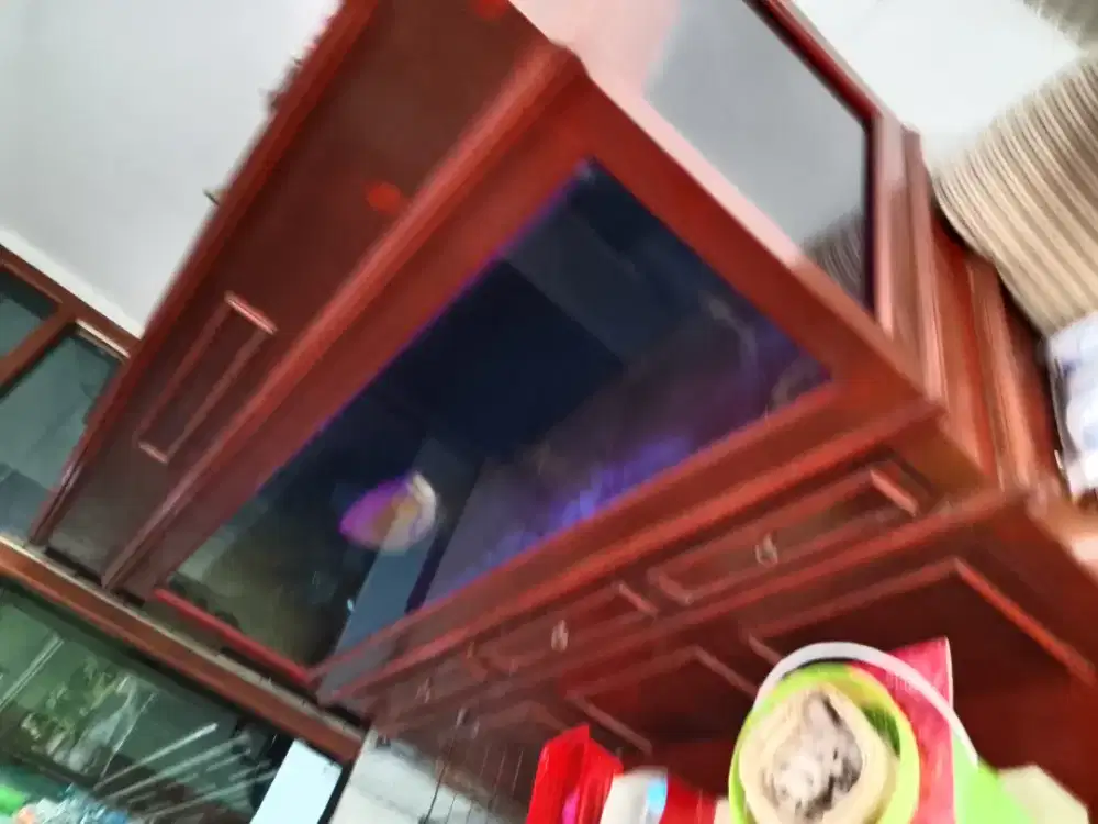 Jual aquarium kaca tebal dan Arwana Super Red 55cm Sertifikat