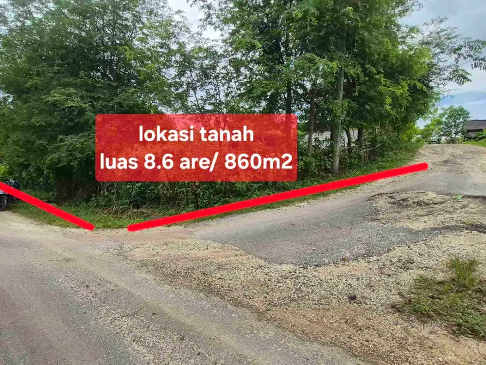 TANAH MURAH 8.6 ARE HOOK JALAN ASPAL DI TEGAL BADENG BARAT JEMBRANA