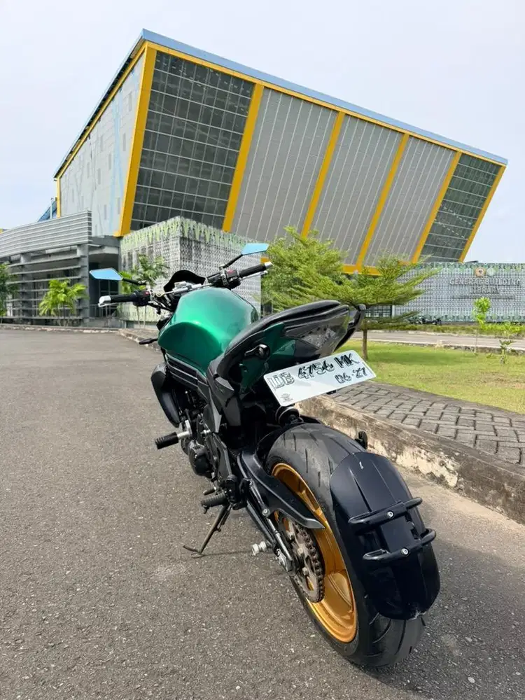 MOGE KAWASAKI ER6n