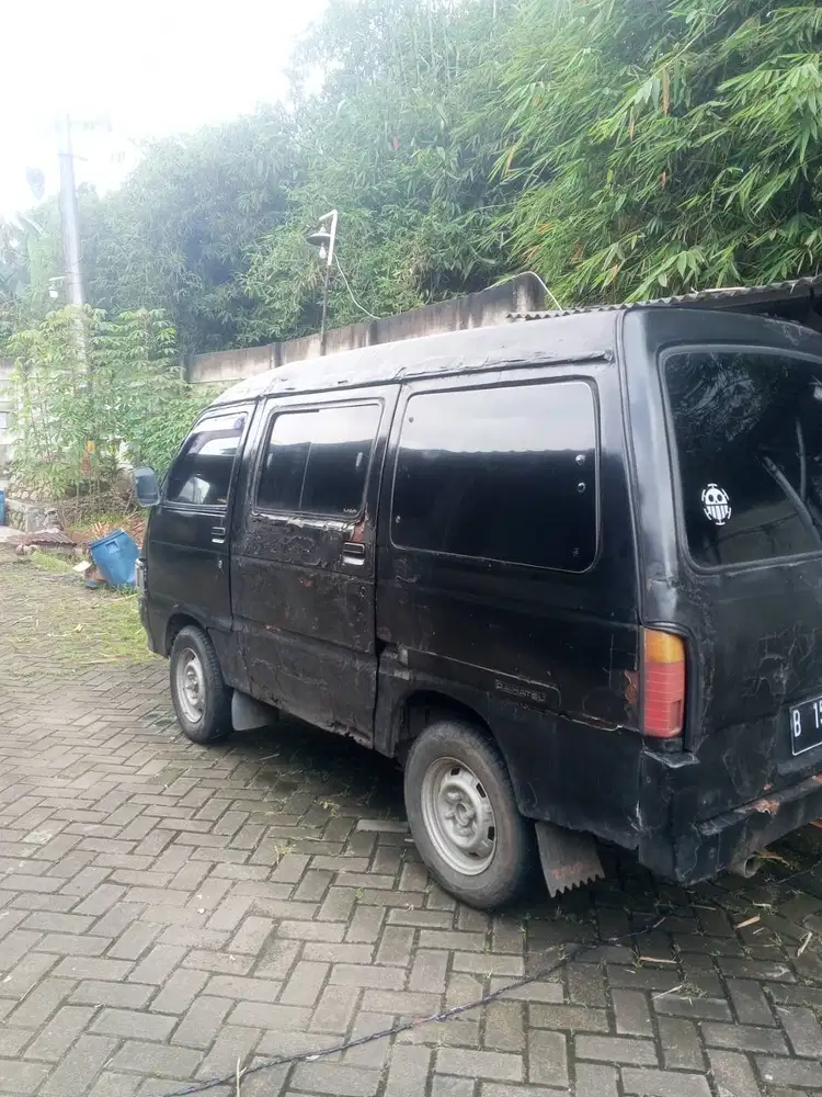 Zebra bodytech th 91