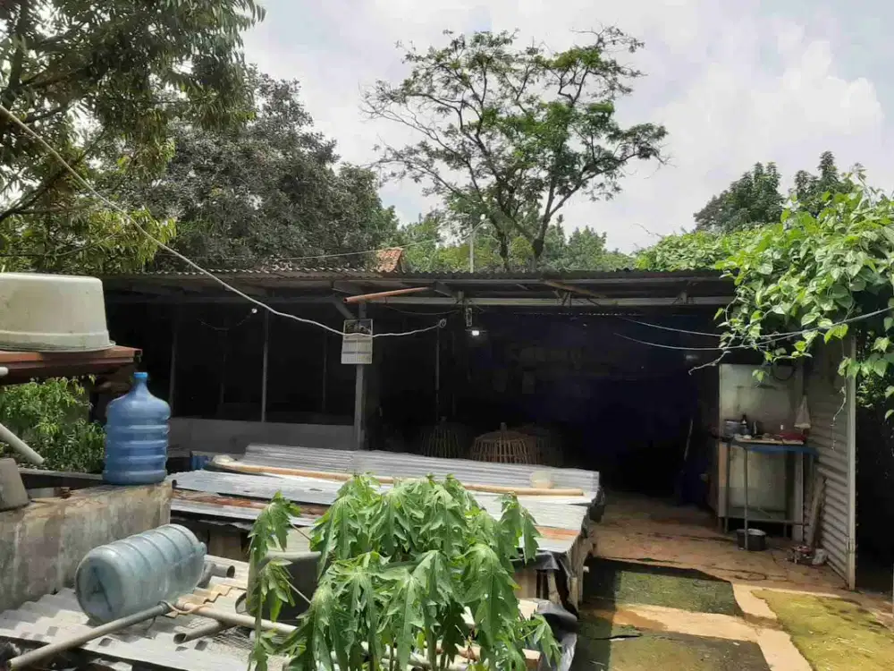 Disewakan Ruang Usaha Ternak Lele, dll Pudak payung Banyumanik Semarang.