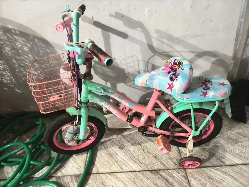 Jual sepeda anak perempuan