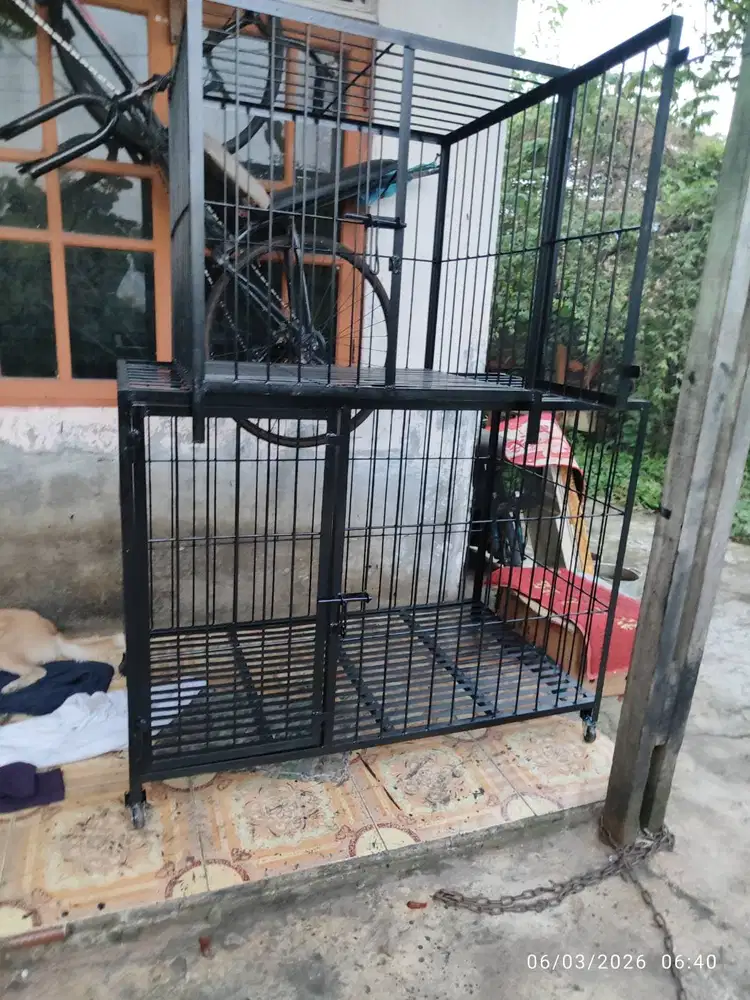 Kandang Anjing Baru Berkuaitas