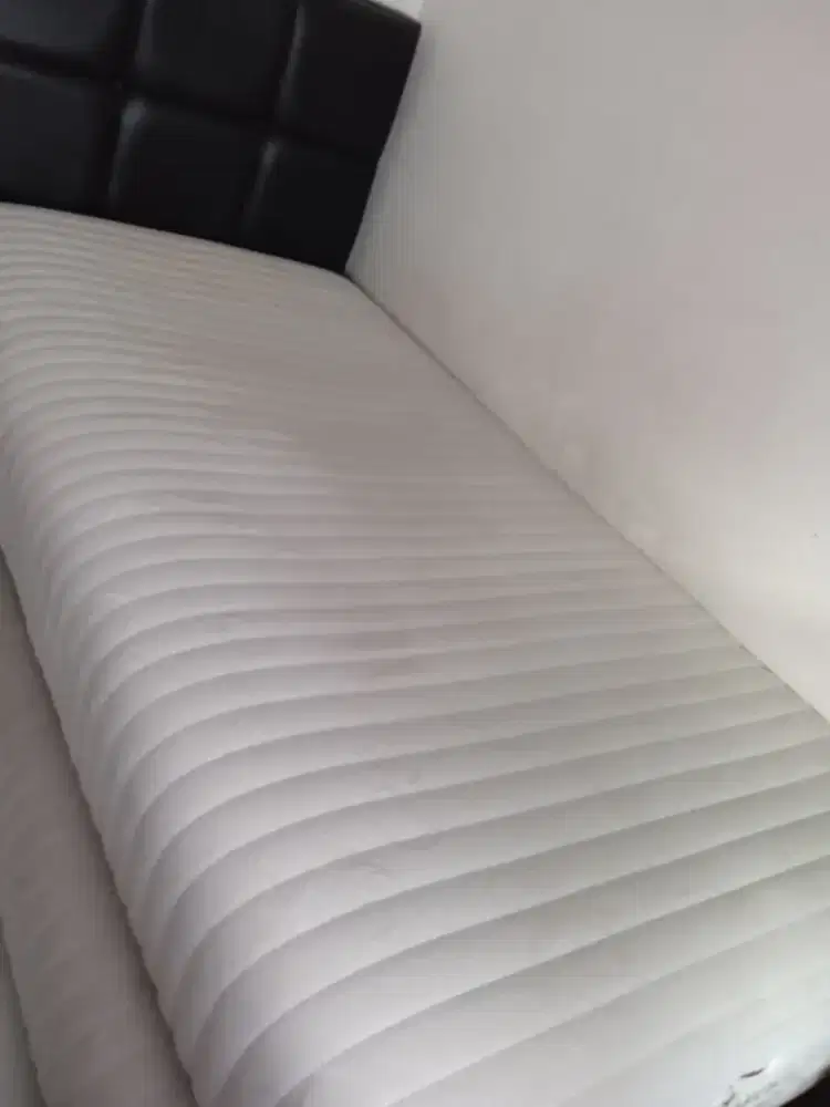 Springbed anak Equip by Escon