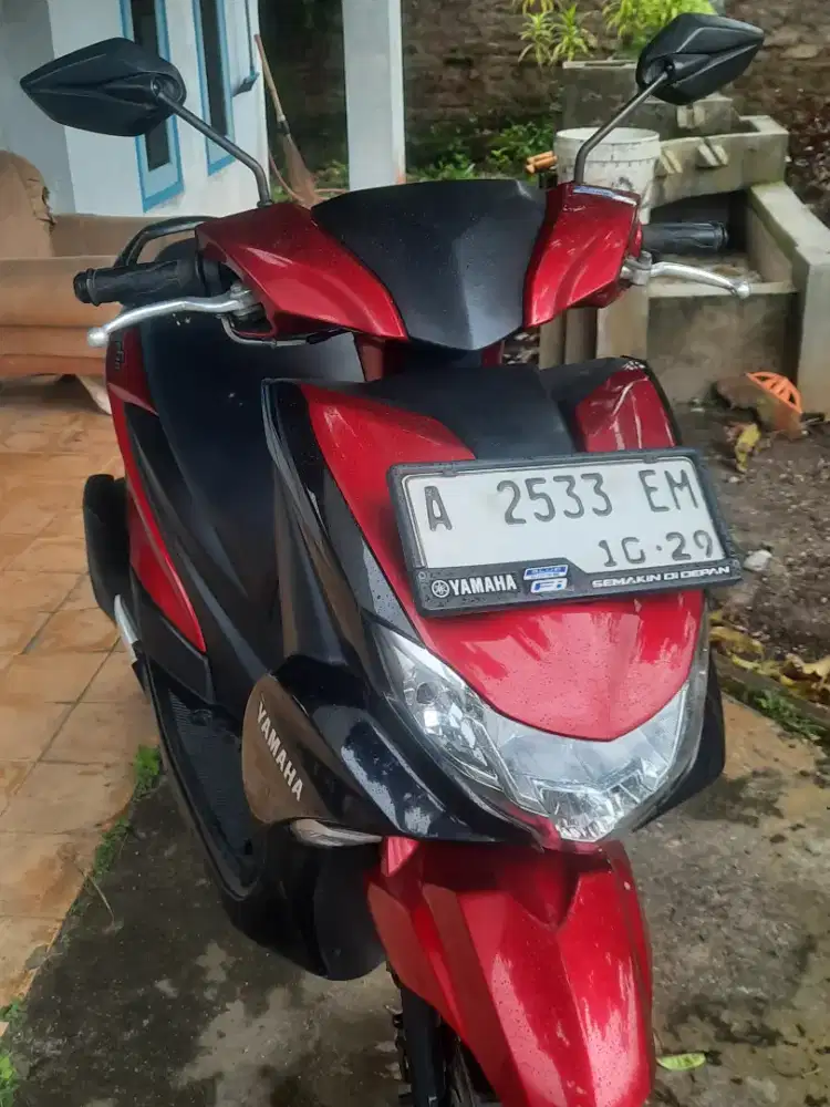 Frego thun 2019 pajak hidup