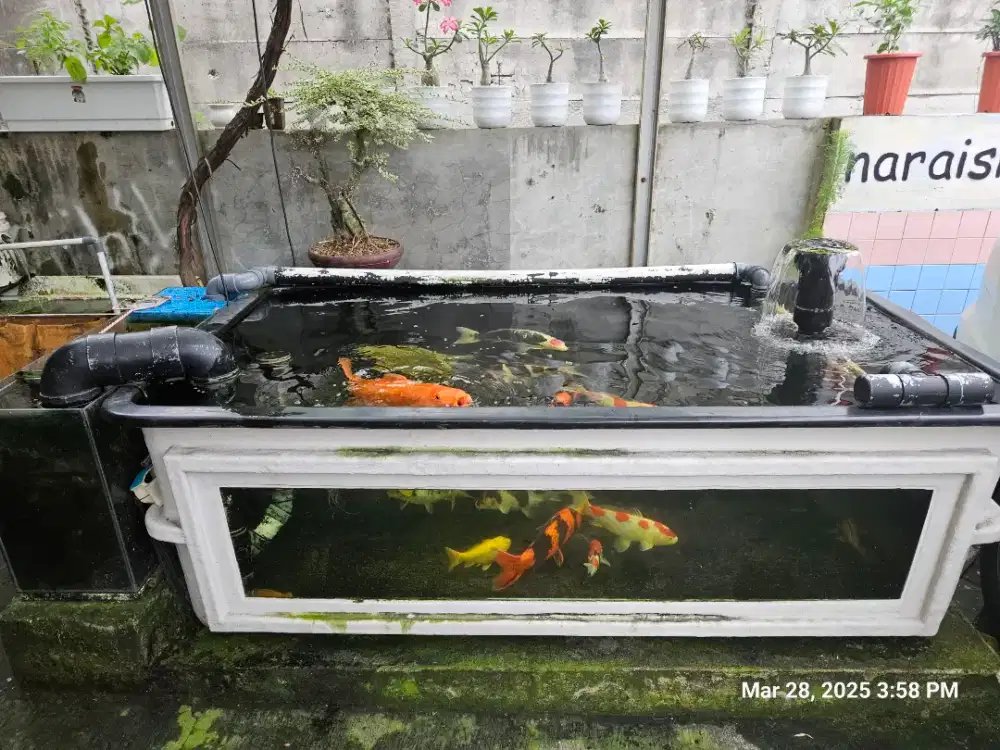 Bak Fiber Full Set plus Lampu Mayin 172cm.