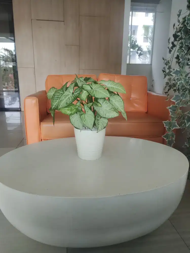 Pemain Orgen/elekton