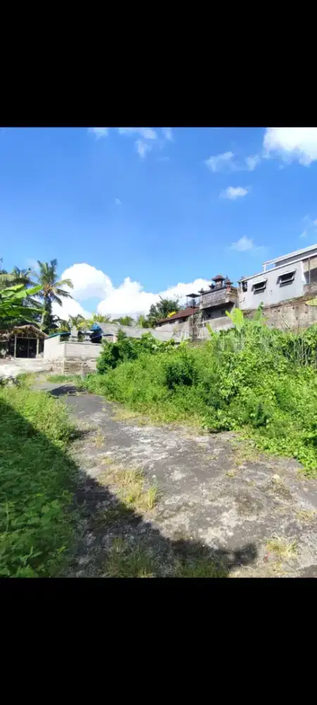 Dijual tanah murah,2,4 are di mengwi badung bali