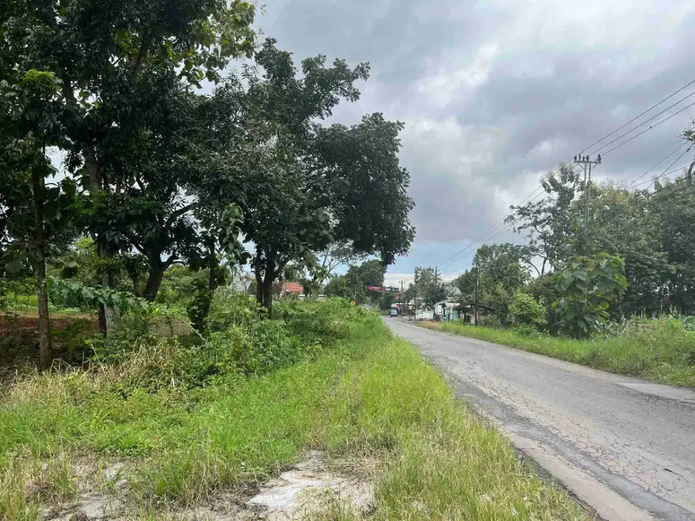 Tanah Murah dan Luas 1 Hektar Bisa untuk Perumahan atau Gudang