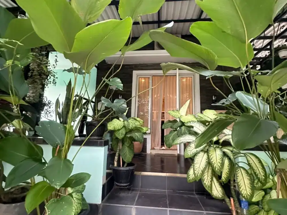 PREMIUM HOME AQUAMARINE PHG GADING SERPONG LAST UNIT CUMA 5MAN AJA NEGO SAMPAI DEAL!