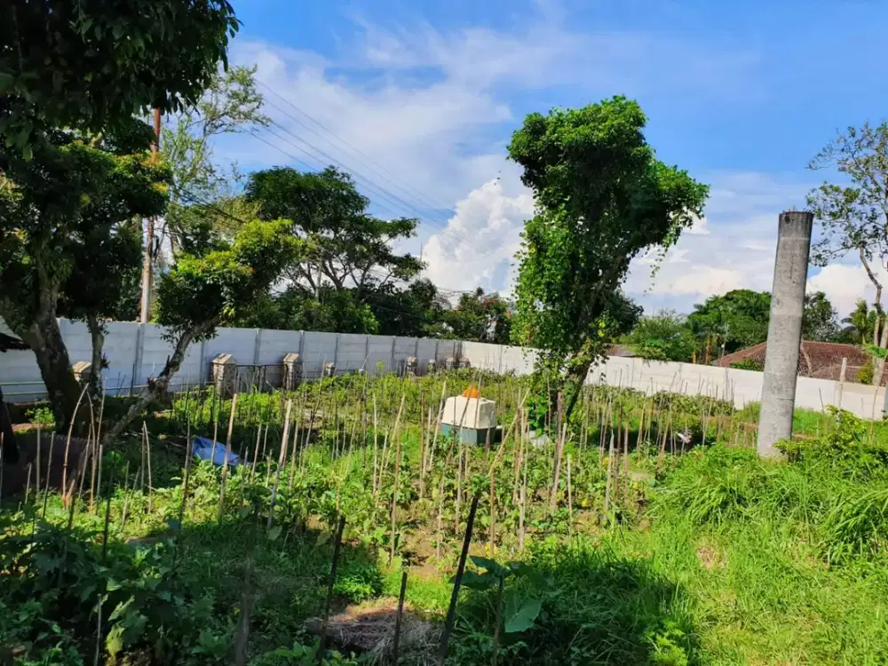 SEWA TANAH Raya Trunojoyo Kota Batu Lokasi Stategis