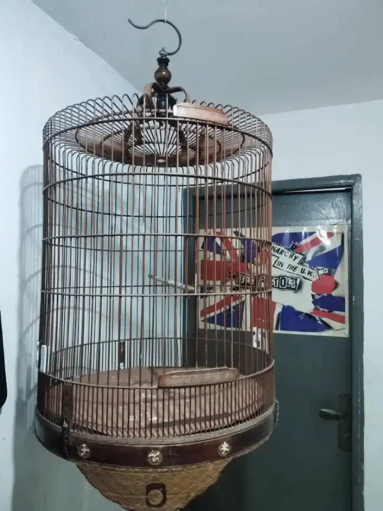 Edisi kaga k pake no2 tingal masukkin jagoannya masi keker kyak pake