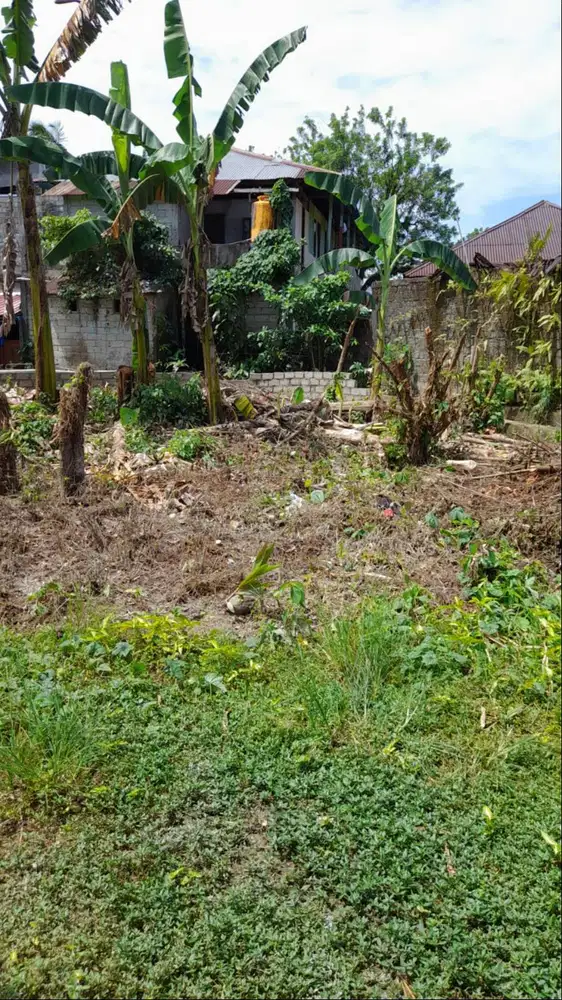 Di jual tanah di wilayah Ambon