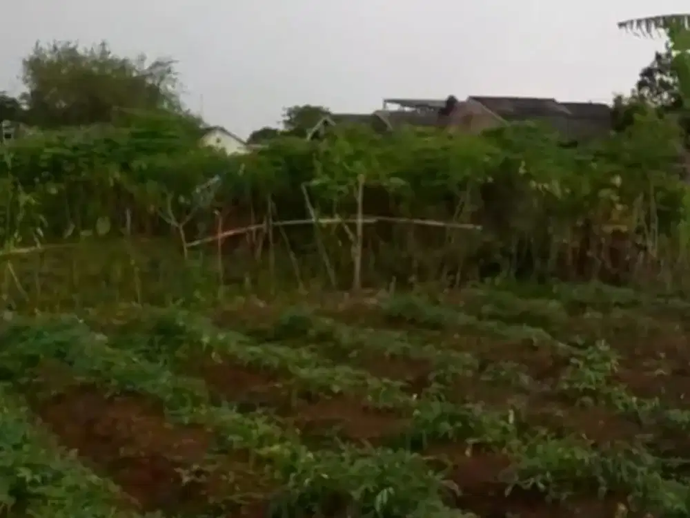 Dijual Tanah SHM Luas 686 m2 di Sukabumi Lokasi Dekat Alfamart