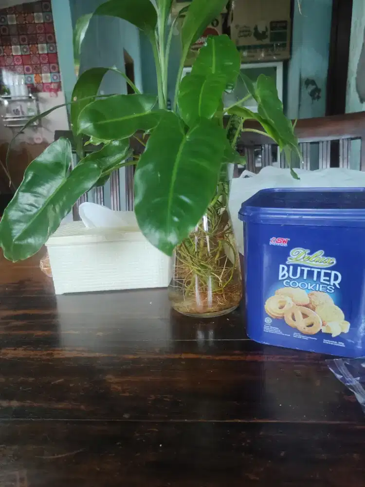 Bersih bersih rumah h-3 lebaran