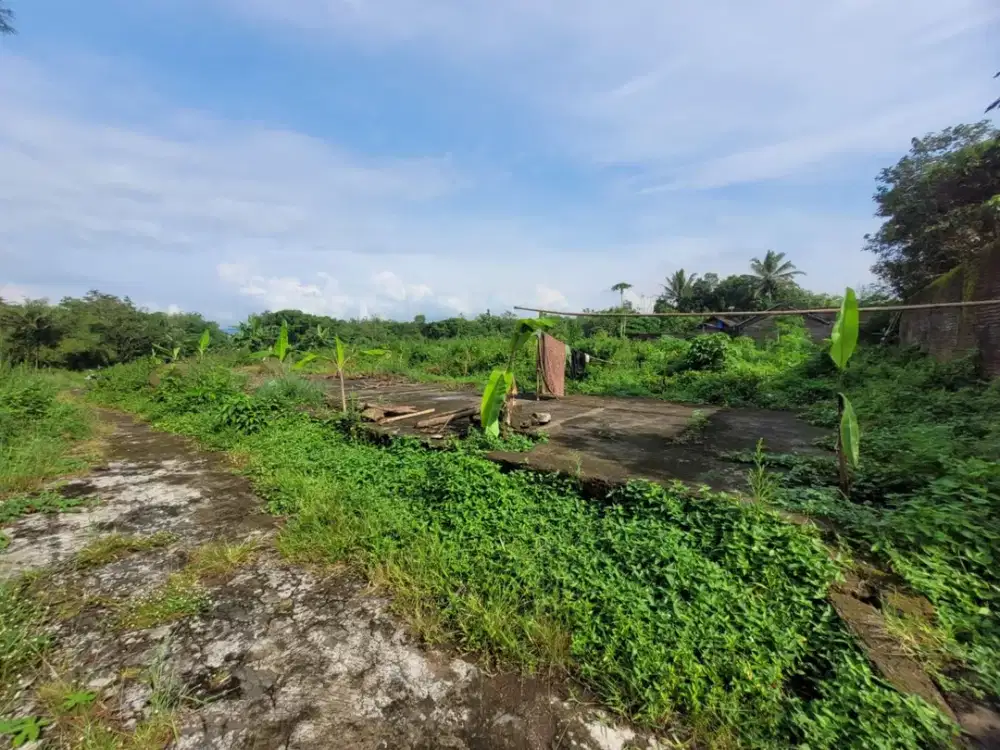 Tanah Strategis dan Murah di Tempuran, Magelang dekat dengan Jalan Raya Magelang-Purworejo