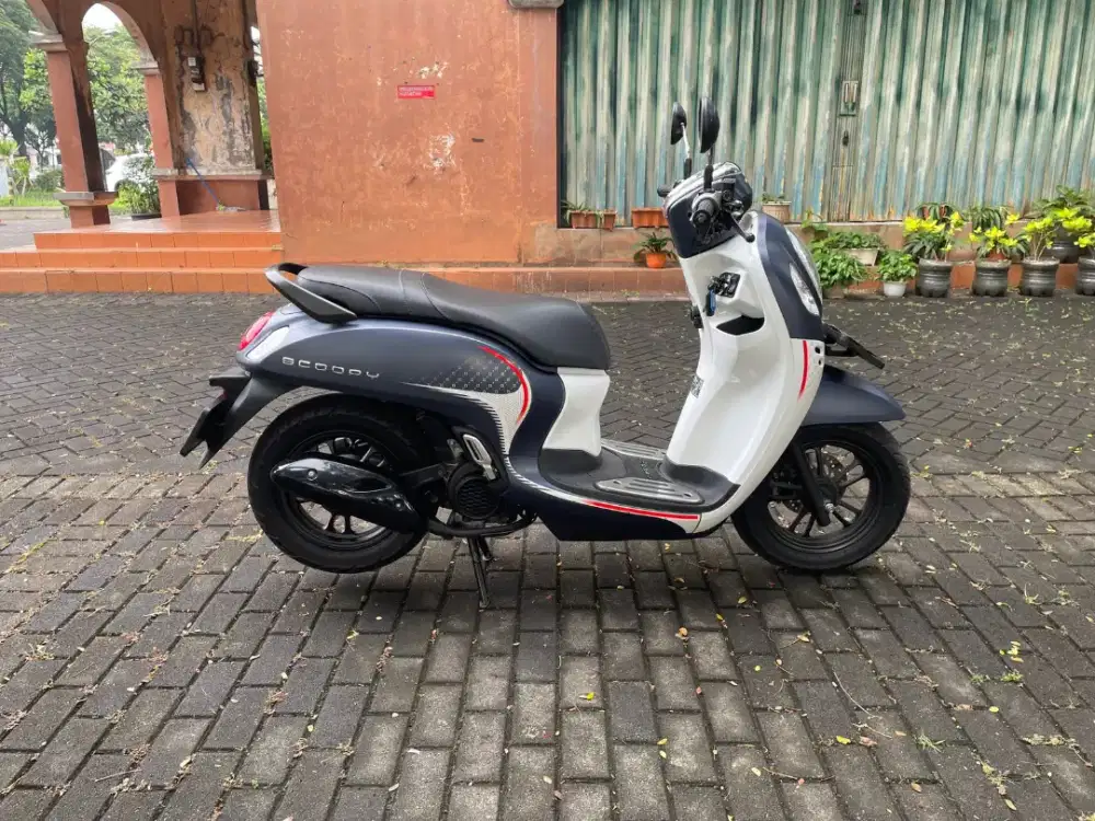 Scoopy Fashion 2024 Pajak Panjang