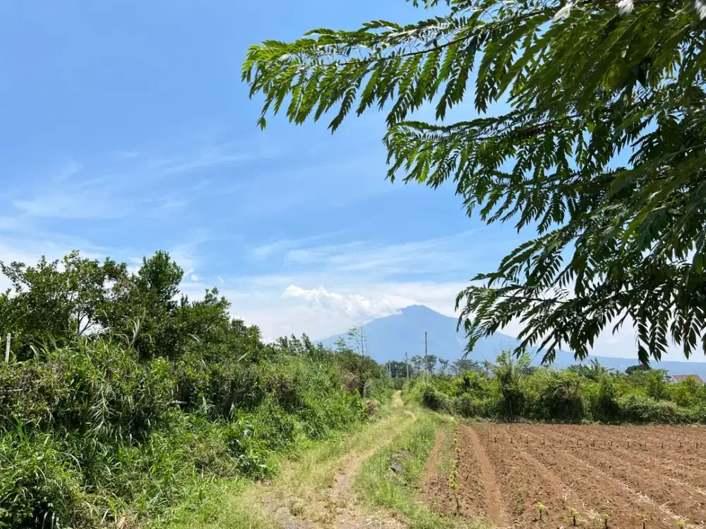 Tanah Kavling 180 Jutaan Kota Malang, Bisa Angsuran Dekat Kampus UMM Muhammadiyah