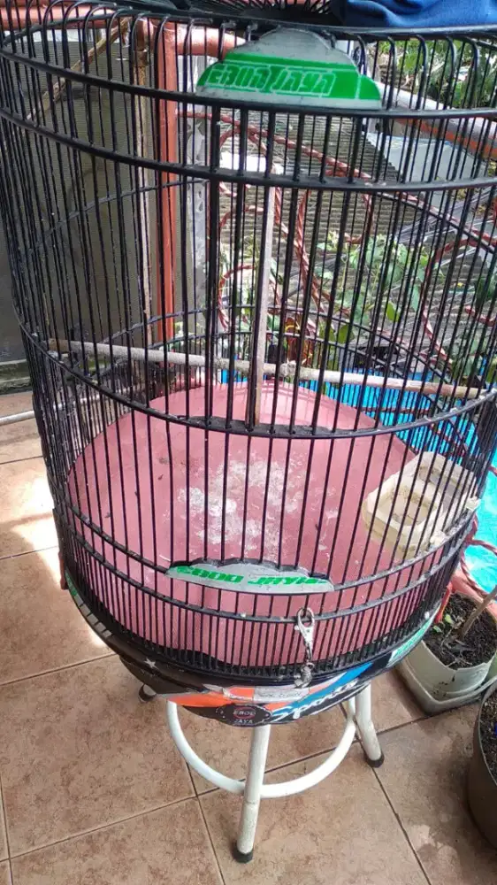 Jual kandang murai no 2 Ebod +krodong