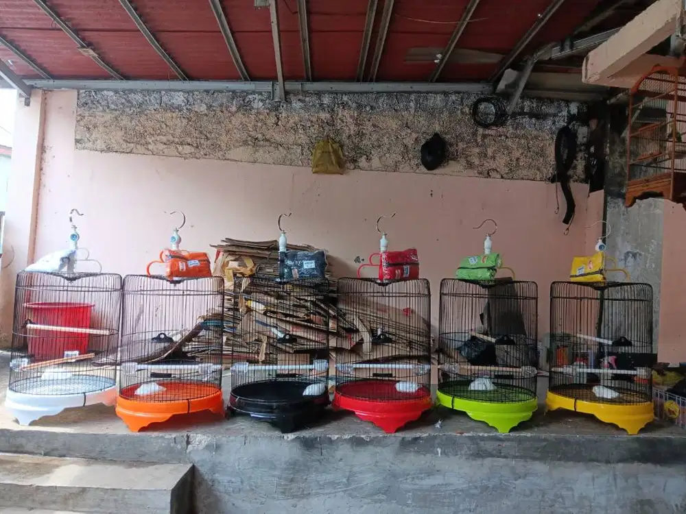 SANGKAR JUMBO BEST DIA 42cm TEBOK BATMAN PAKAI STOPER